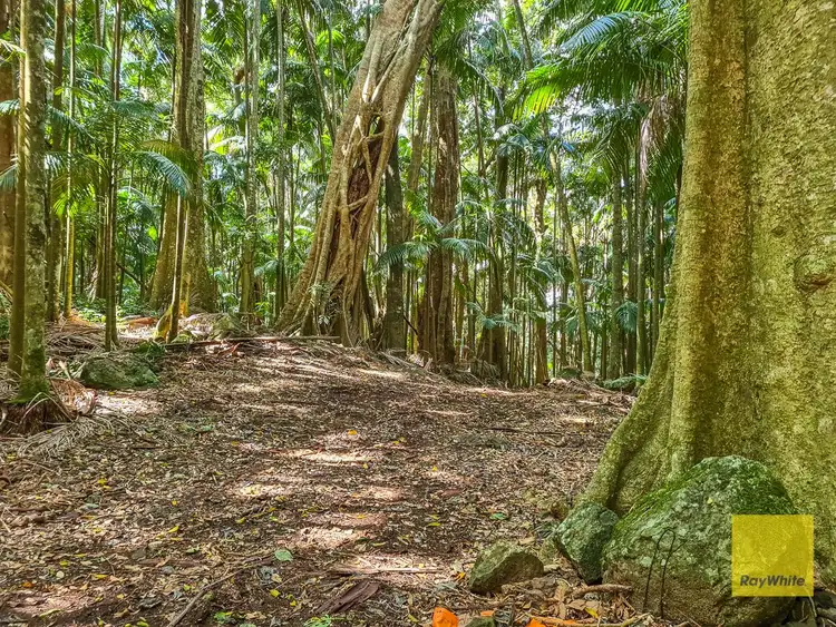 Third view of Homely land listing, LOT 2, 2-12 Cliff Road, Tamborine Mountain QLD 4272