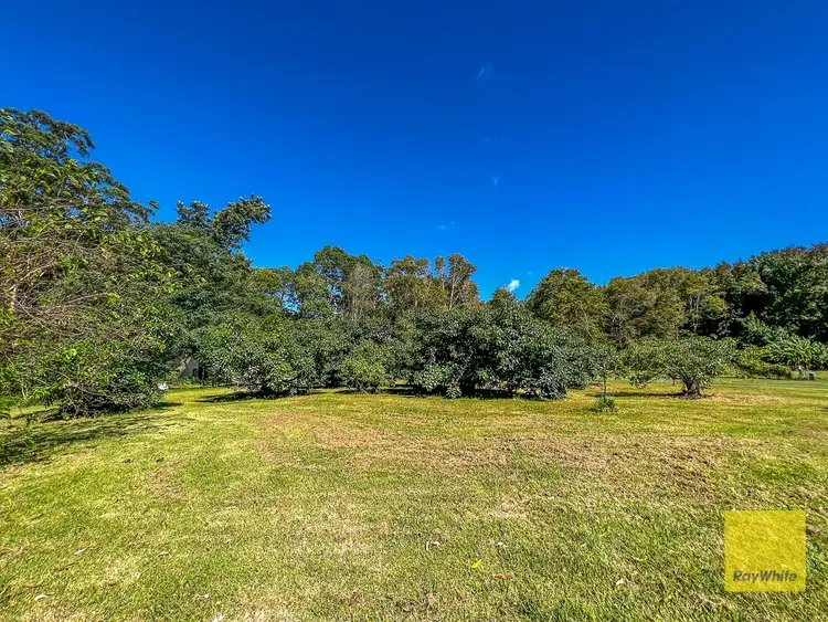 328 Long Road, Tamborine Mountain QLD 4272