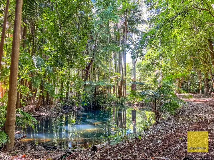 Seventh view of Homely land listing, 328 Long Road, Tamborine Mountain QLD 4272
