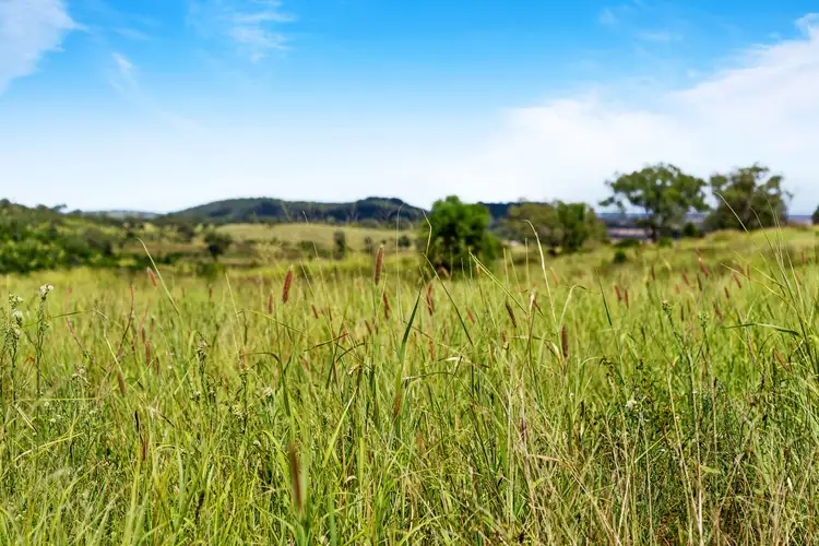 Second view of Homely rural property listing, 2353 Oakey-Pittsworth Road, Mount Tyson QLD 4356
