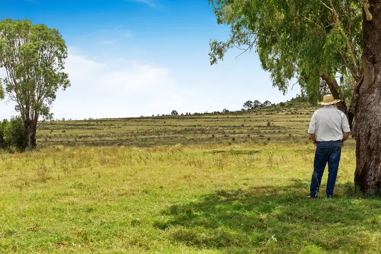 Third view of Homely rural property listing, 2353 Oakey-Pittsworth Road, Mount Tyson QLD 4356