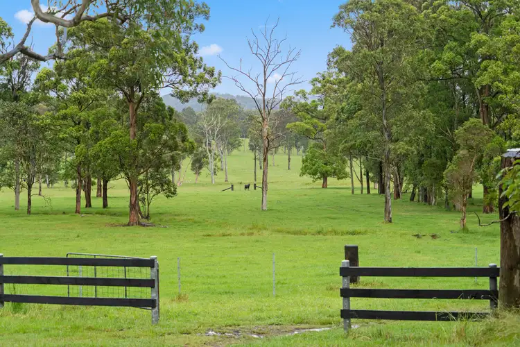 Fourth view of Homely rural property listing, 230 Crooks Road, Mandalong NSW 2264