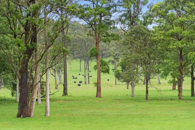 Fifth view of Homely rural property listing, 230 Crooks Road, Mandalong NSW 2264
