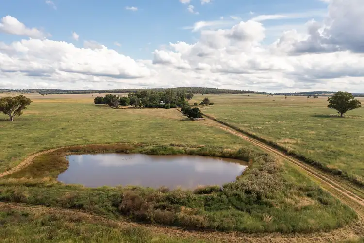 Third view of Homely rural property listing, 694 Lochnaw Road, Binnaway NSW 2395