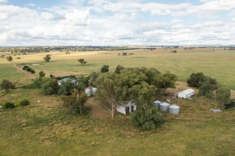 Fifth view of Homely rural property listing, 694 Lochnaw Road, Binnaway NSW 2395