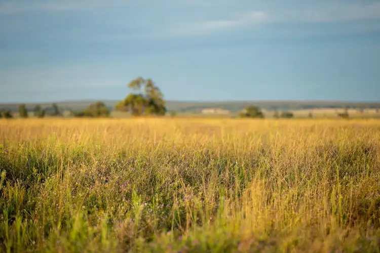 Seventh view of Homely rural property listing, 694 Lochnaw Road, Binnaway NSW 2395