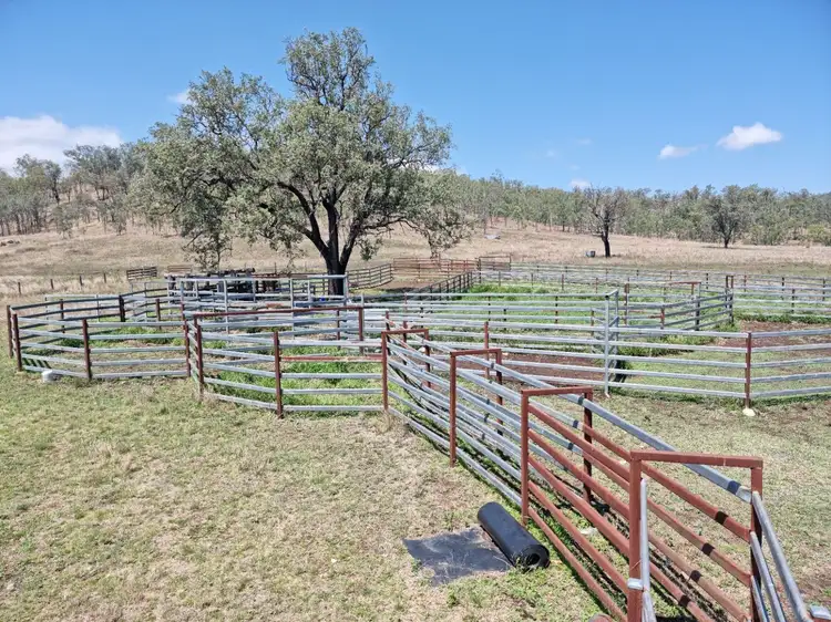 Fifth view of Homely rural property listing, 223 Cloyne Road, Booubyjan QLD 4601
