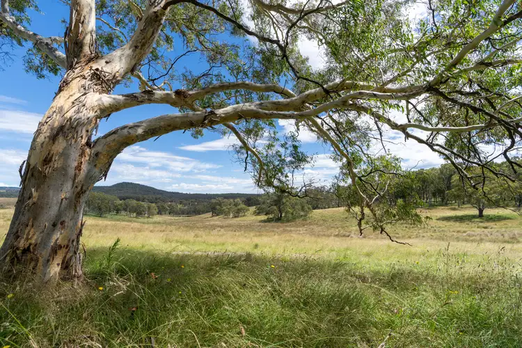 Lot 10 Wallerawang Rydal Road, Mount Lambie NSW 2790