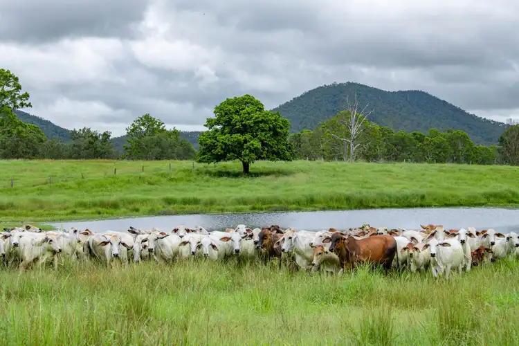 Third view of Homely rural property listing, 3 Offerings Gympie Woolooga Road, Lower Wonga QLD 4570