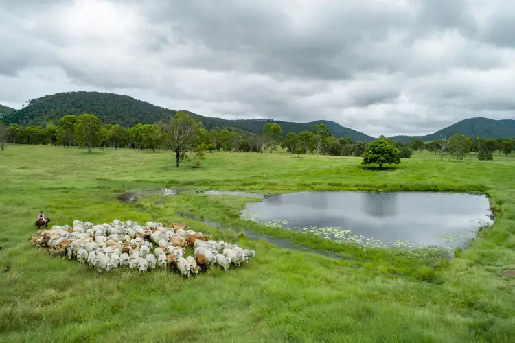 Fifth view of Homely rural property listing, 3 Offerings Gympie Woolooga Road, Lower Wonga QLD 4570