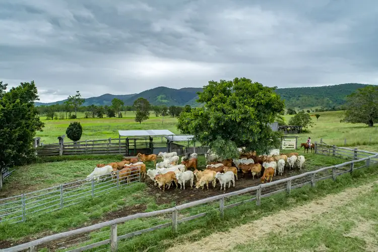 Seventh view of Homely rural property listing, 3 Offerings Gympie Woolooga Road, Lower Wonga QLD 4570
