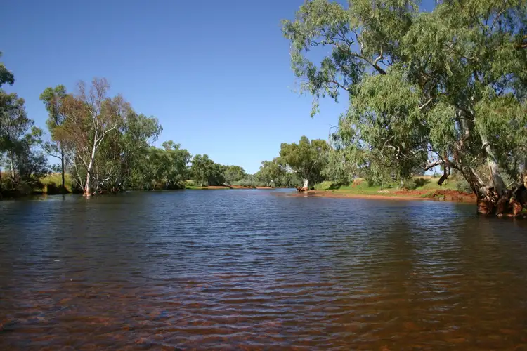 Fourth view of Homely rural property listing, 0 Balfour Downs & Wandanya, Newman WA 6753