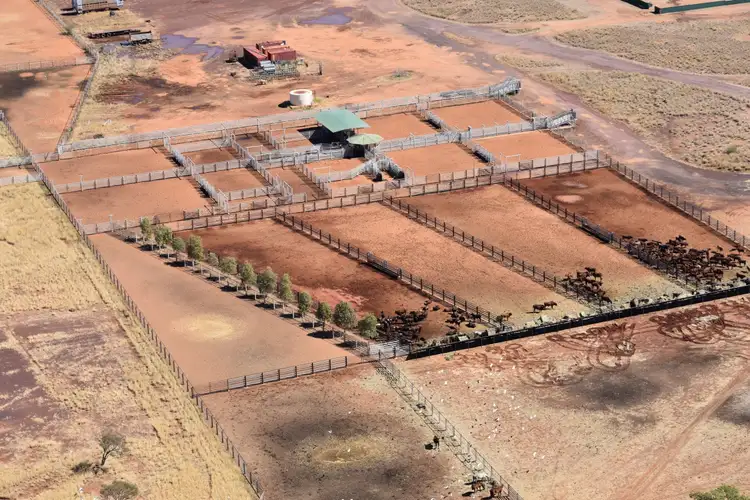 Sixth view of Homely rural property listing, 0 Balfour Downs & Wandanya, Newman WA 6753
