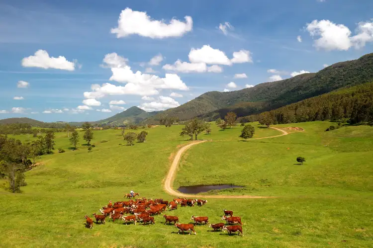 Second view of Homely rural property listing, 579 Somerset Road, Kimbriki NSW 2429