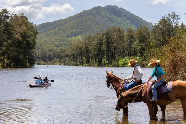 Third view of Homely rural property listing, 579 Somerset Road, Kimbriki NSW 2429