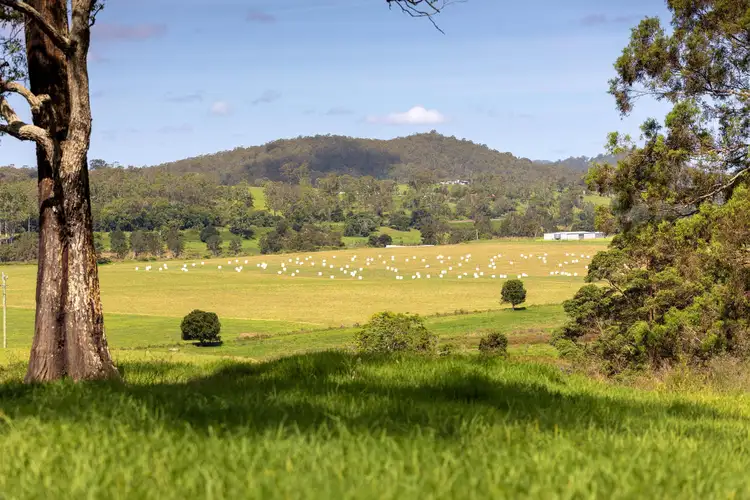 Fourth view of Homely rural property listing, 579 Somerset Road, Kimbriki NSW 2429