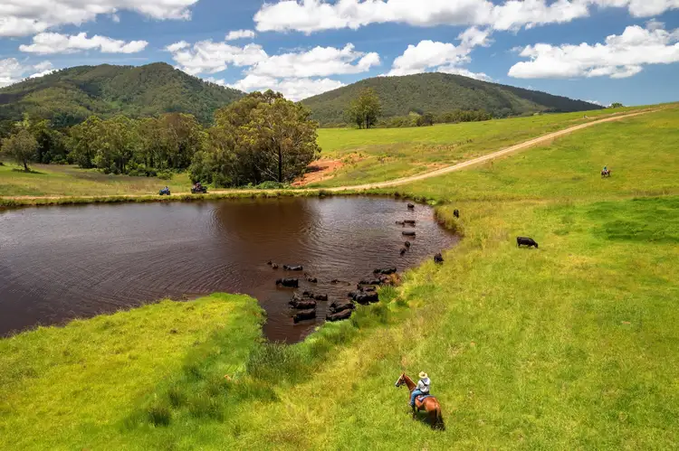 Fifth view of Homely rural property listing, 579 Somerset Road, Kimbriki NSW 2429
