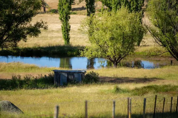 Fourth view of Homely rural property listing, 1242 Puddledock Road, Armidale NSW 2350