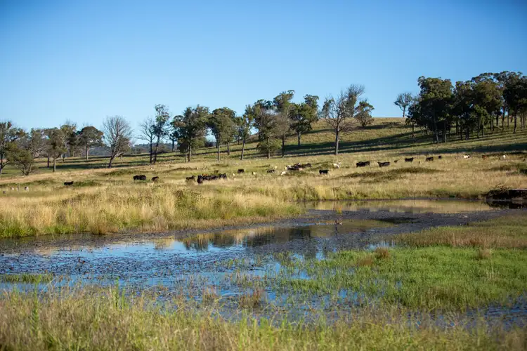 Fifth view of Homely rural property listing, 1242 Puddledock Road, Armidale NSW 2350