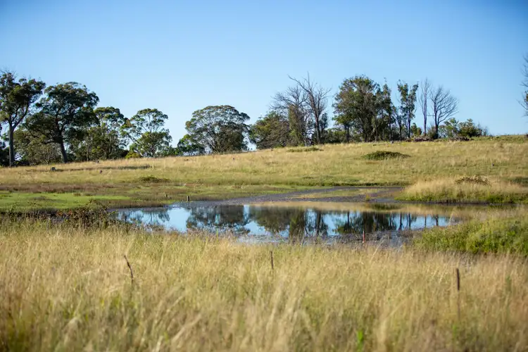 Seventh view of Homely rural property listing, 1242 Puddledock Road, Armidale NSW 2350