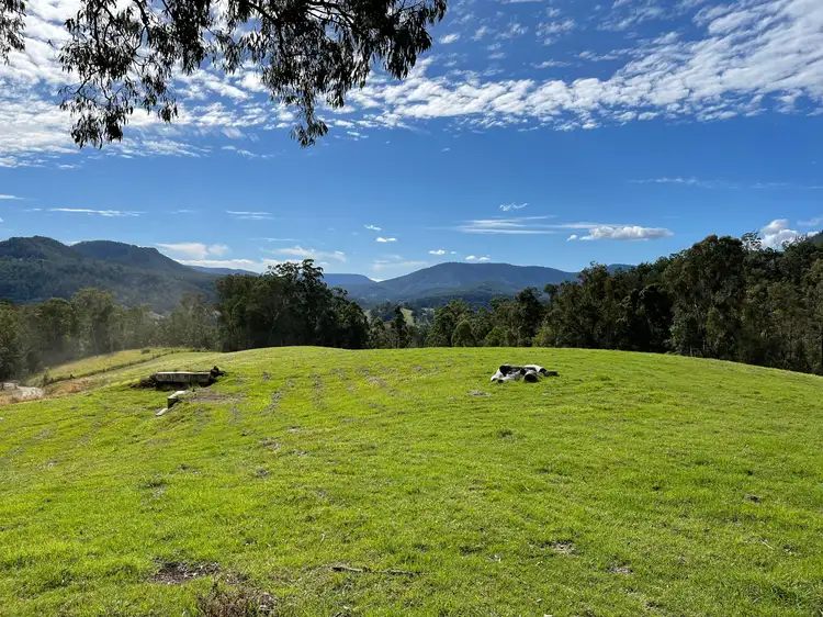 107 - 205 Simes Road, Gradys Creek NSW 2474