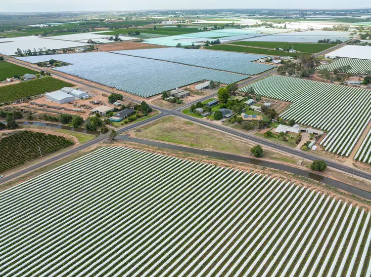 Fourth view of Homely land listing, Lot 6 Fourteenth Street, Irymple VIC 3498