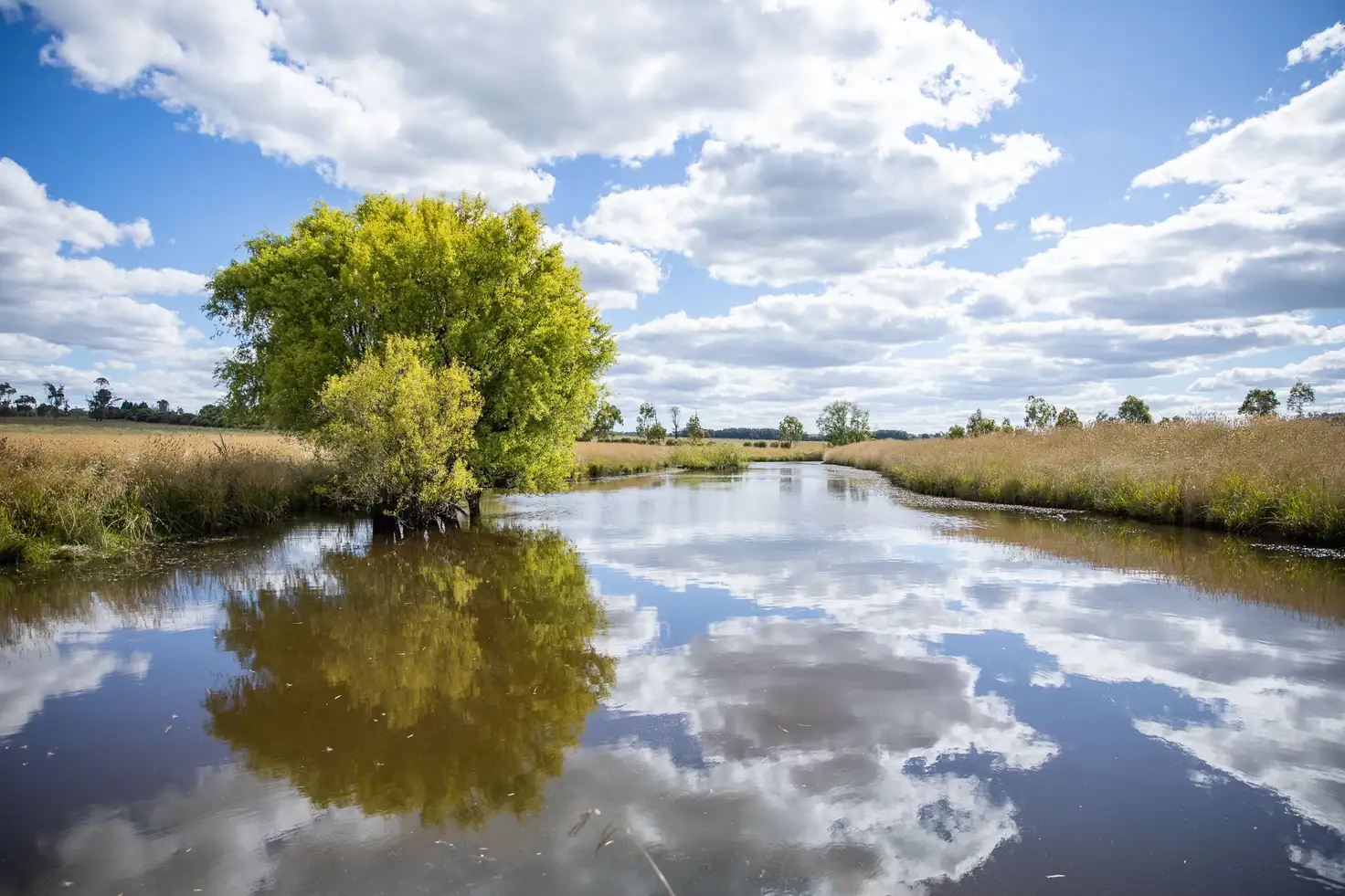 Main view of Homely rural property listing, 8 Harveys Road, Armidale NSW 2350