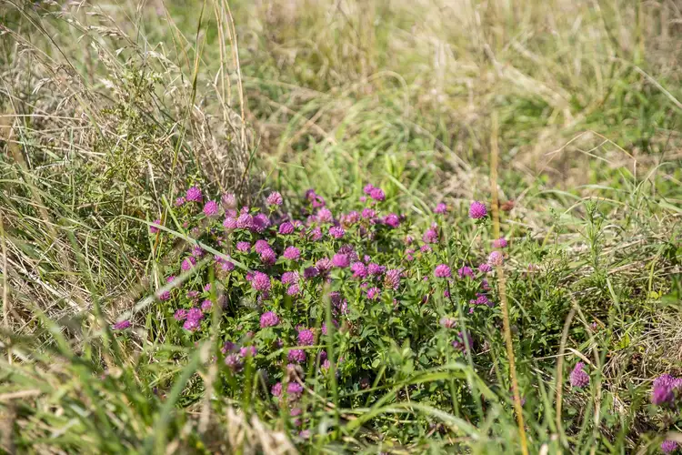 Third view of Homely rural property listing, 8 Harveys Road, Armidale NSW 2350