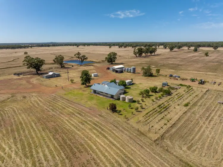 207 Jepsons Road, Bectric via, Temora NSW 2666
