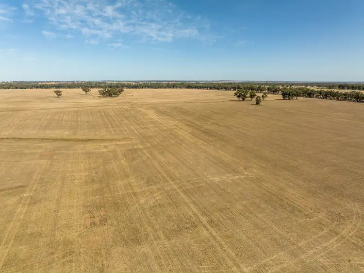 Sixth view of Homely rural property listing, 207 Jepsons Road, Bectric via, Temora NSW 2666