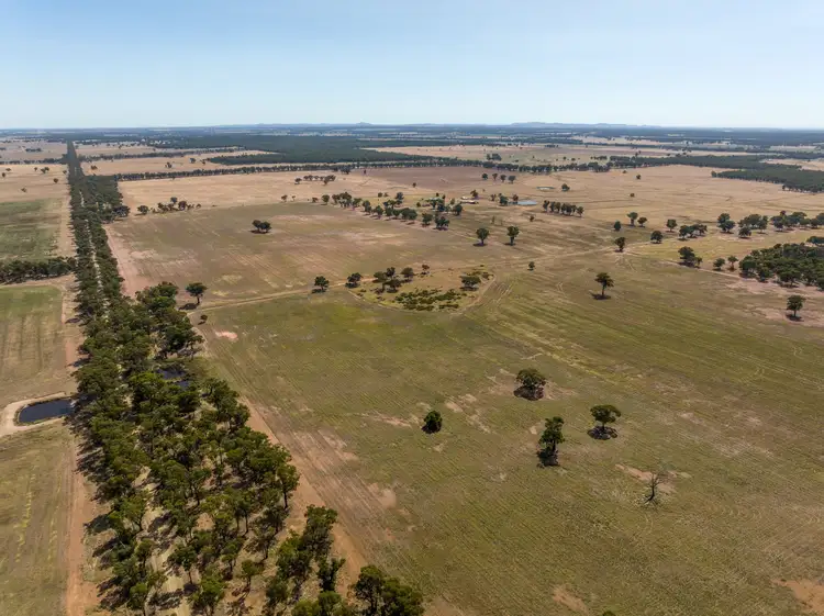 Seventh view of Homely rural property listing, 207 Jepsons Road, Bectric via, Temora NSW 2666