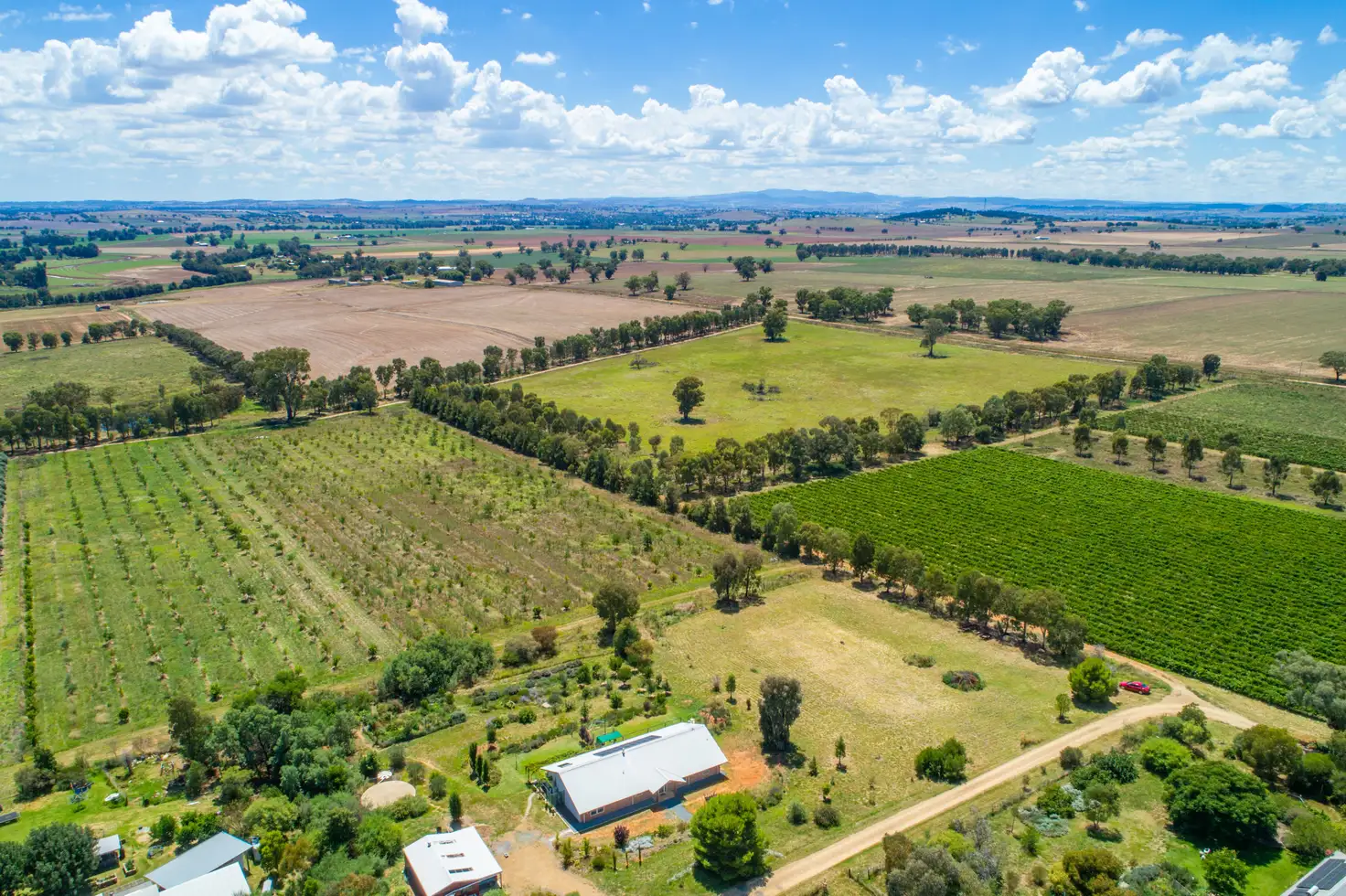 Main view of Homely rural property listing, "Brindabella" 22/444 Rivers Road, Canowindra NSW 2804