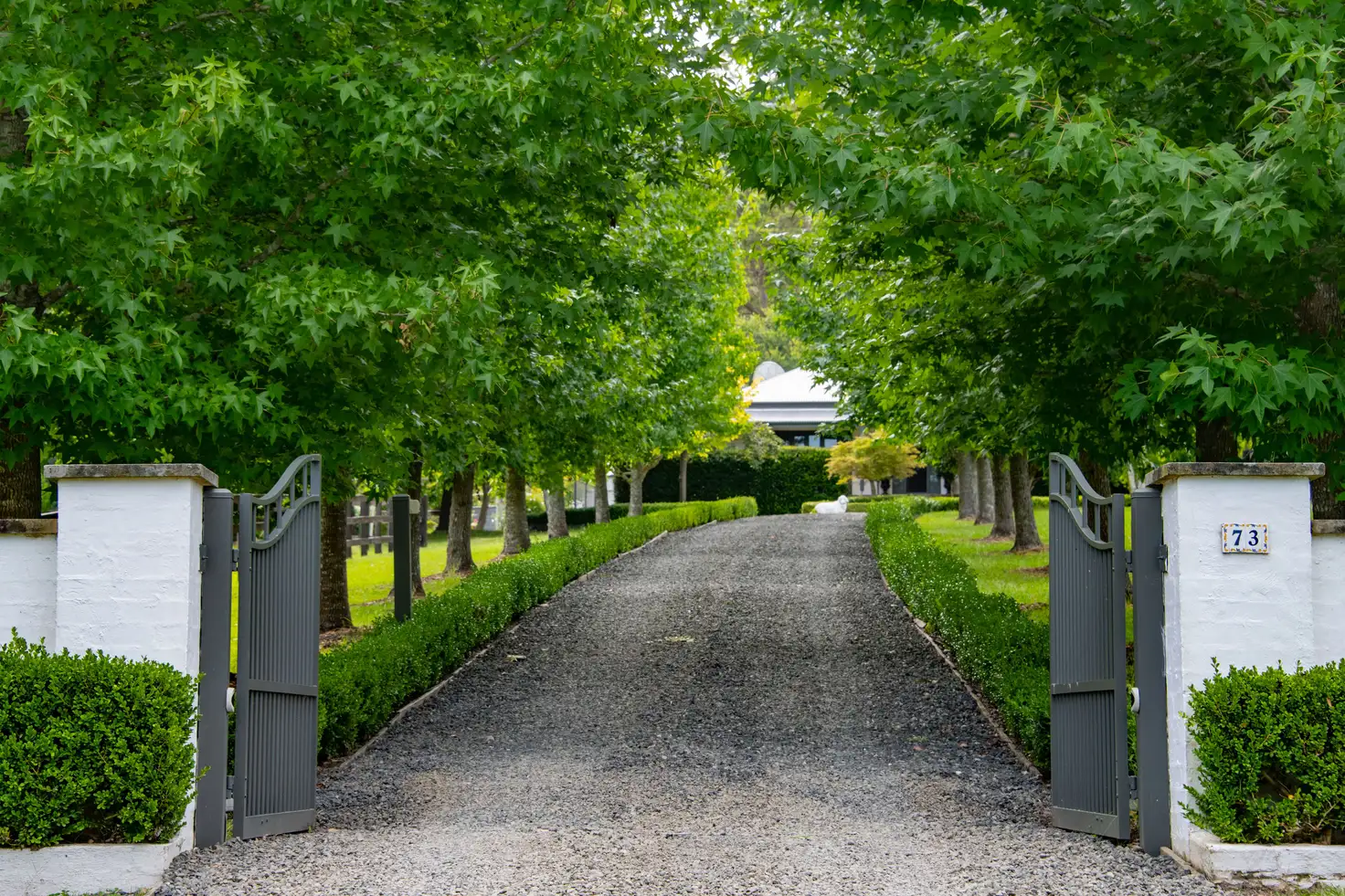 Main view of Homely rural property listing, 73 Phil Tunks Road, Lemon Tree NSW 2259