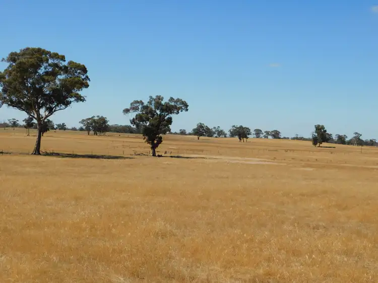 Second view of Homely rural property listing, 13 Obst Road, Bordertown South SA 5268