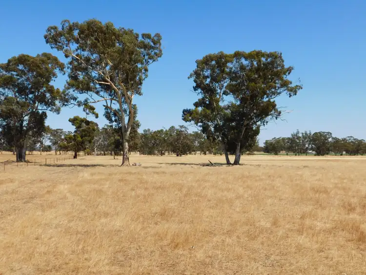 Fourth view of Homely rural property listing, 13 Obst Road, Bordertown South SA 5268