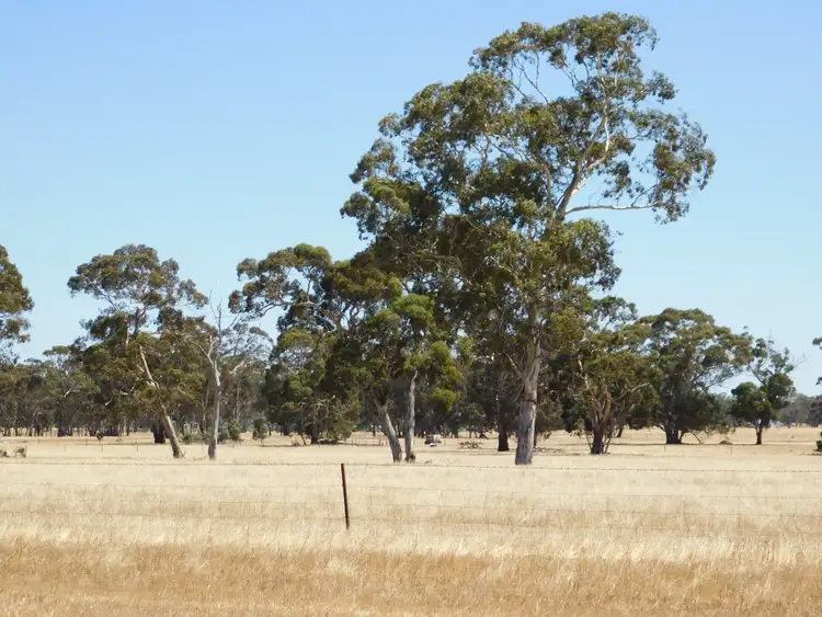 Fifth view of Homely rural property listing, 13 Obst Road, Bordertown South SA 5268