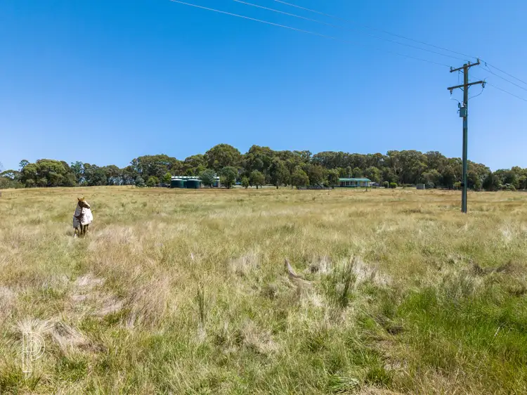 Sixth view of Homely rural property listing, 1017 Bannister Lane, Goulburn NSW 2580