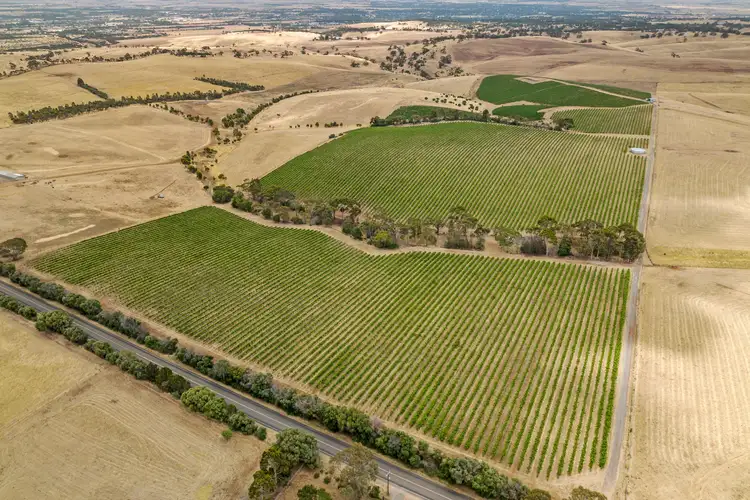 Third view of Homely rural property listing, 'Trimbolis' Medlow Road, Uleybury SA 5114