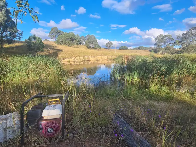 Fifth view of Homely rural property listing, 653 Pechey Maclagan Road, Groomsville QLD 4352