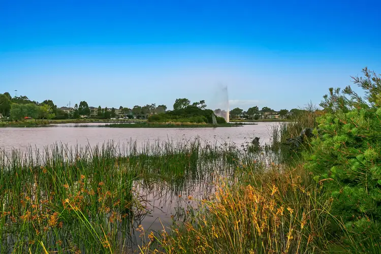 Fourth view of Homely house listing, 8 Black Swan Lane, Waterways VIC 3195