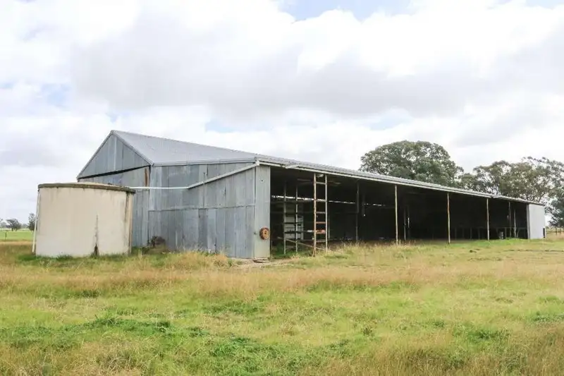 Main view of Homely rural property listing, RMB 245 Merri Merric Lane, Henty NSW 2658