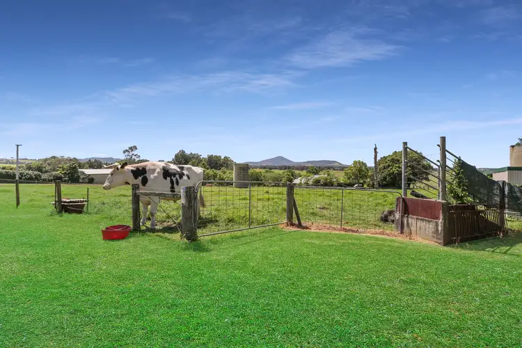 Fifth view of Homely rural property listing, 45 Turners Lane, Jaspers Brush NSW 2535