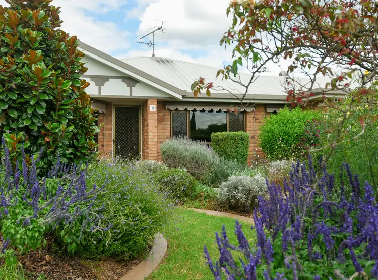 16 Falconer Court, Rangeville QLD 4350