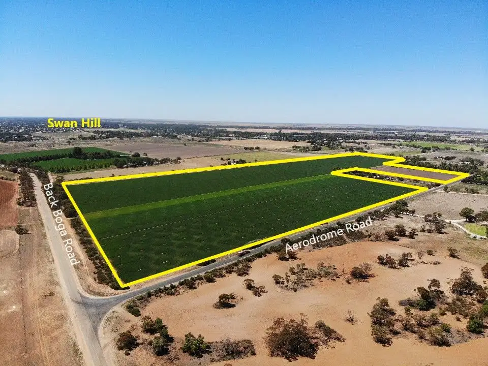 Main view of Homely rural property listing, 117 Back Boga Road, Swan Hill VIC 3585
