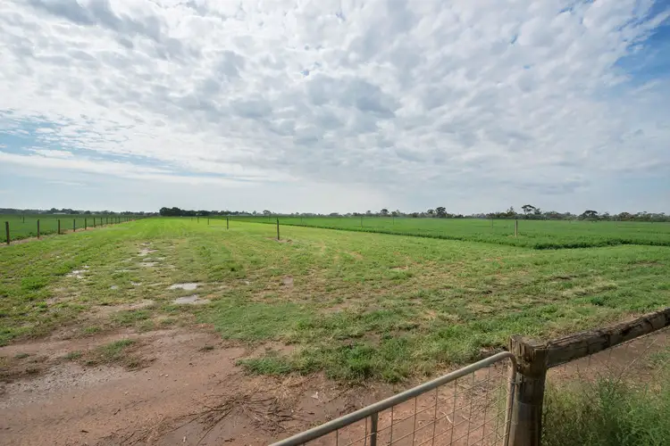 Second view of Homely rural property listing, 117 Back Boga Road, Swan Hill VIC 3585