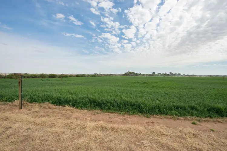 Third view of Homely rural property listing, 117 Back Boga Road, Swan Hill VIC 3585