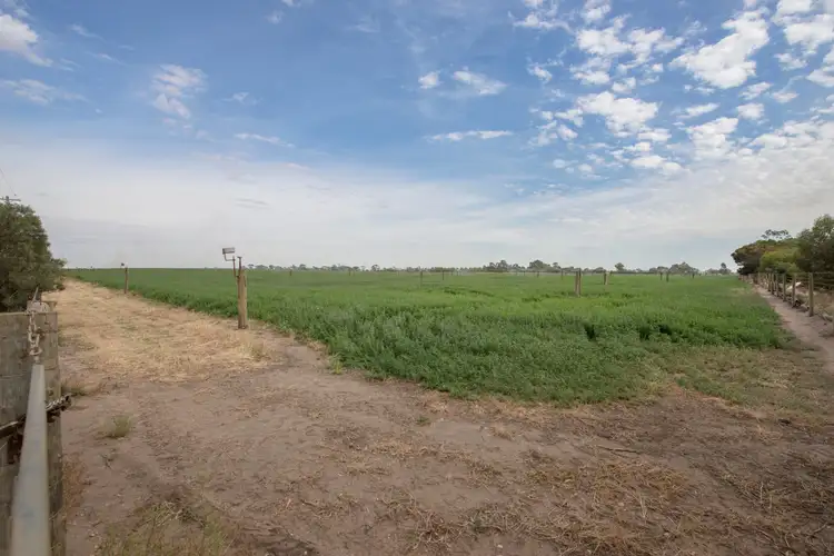 Fourth view of Homely rural property listing, 117 Back Boga Road, Swan Hill VIC 3585