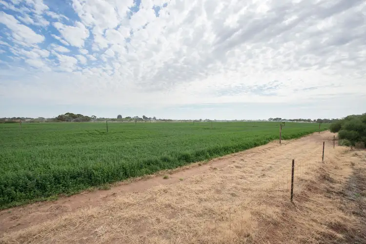 Fifth view of Homely rural property listing, 117 Back Boga Road, Swan Hill VIC 3585
