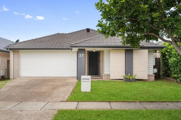 37 Dandelion Street, Griffin QLD 4503