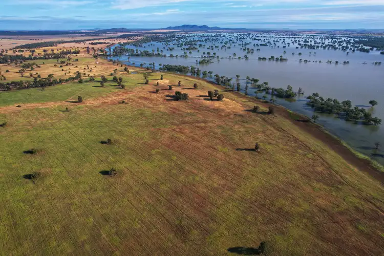 1872 Lake Cowal Road, West Wyalong NSW 2671